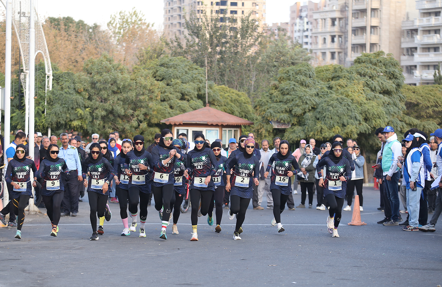 دربارهی فدراسیون